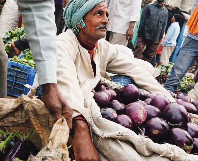 PlantBreedingBenefits_ImageCollage_Back_1700x1940.png