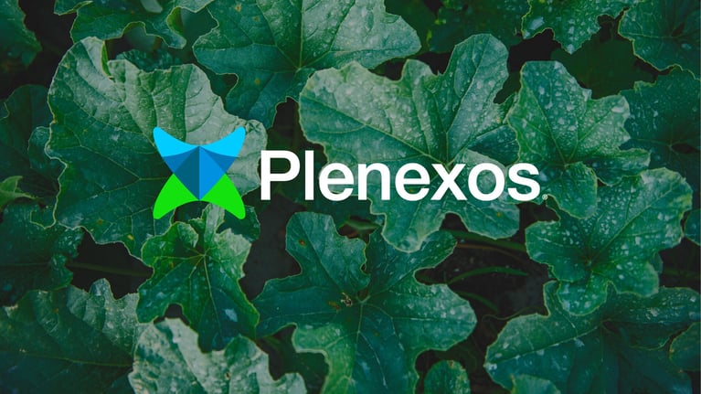 plenexos-msteams-8.jpg