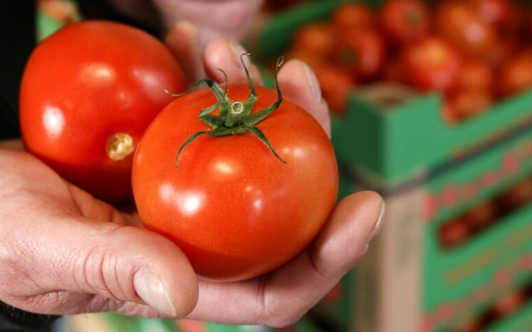 pourquoi-lagriculture-mise-t-elle-sur-les-semences-hybrides.png
