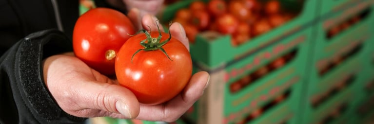 pourquoi-lagriculture-mise-t-elle-sur-les-semences-hybrides.png