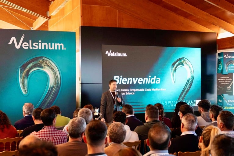 presentacion velsinum