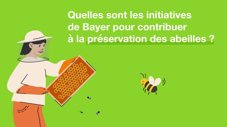 preservation-des-abeilles-1.jpg