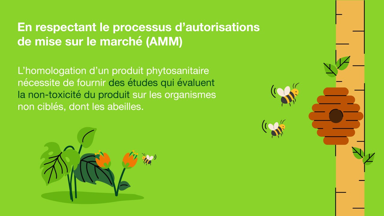 preservation-des-abeilles-2.jpg
