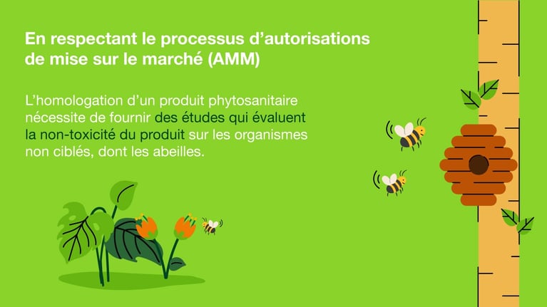 preservation-des-abeilles-2.jpg