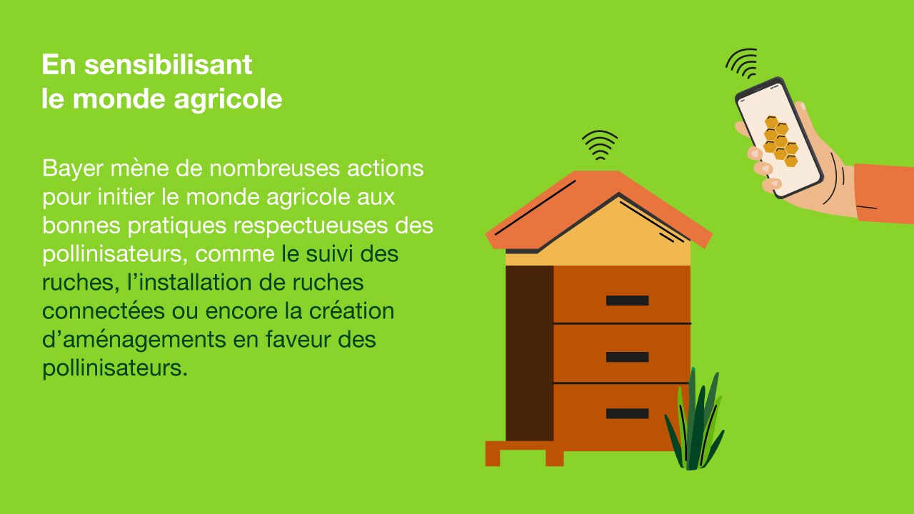 preservation-des-abeilles-4.jpg