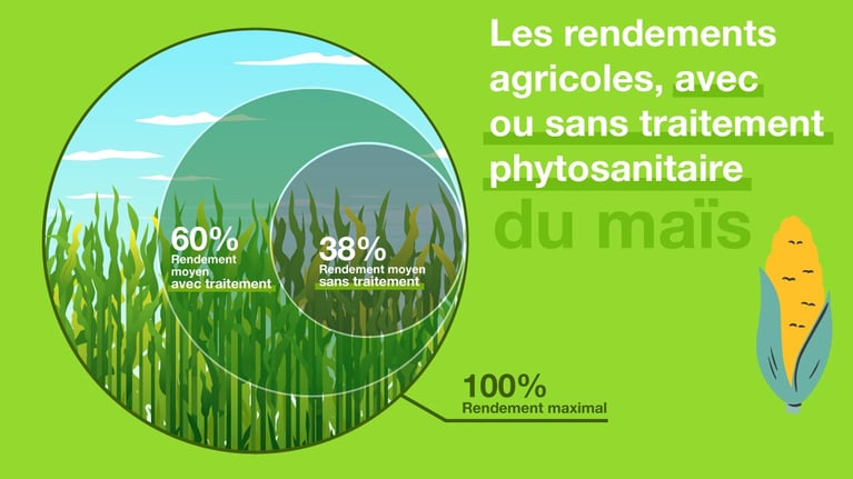produits-phytosanitaires-1-1.jpg