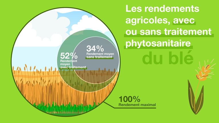 produits-phytosanitaires-3-1.jpg