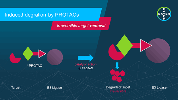 PROTAC_infographic-galerie-3.png
