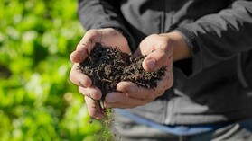 read-about-our-crop-science_280_157.jpg