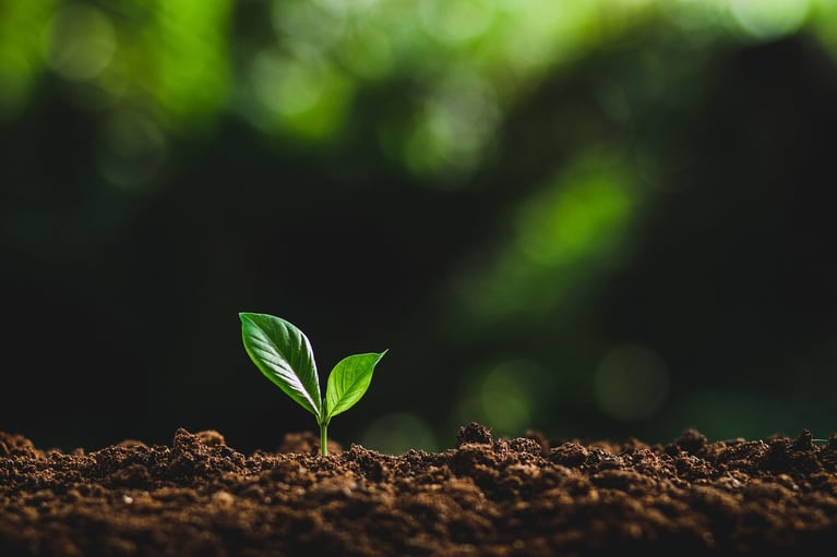regenerative ag image
