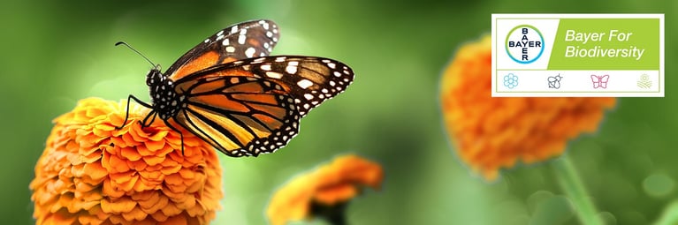 research-and-resources-header-green-background-biodiversity-pages-1440x480.jpg