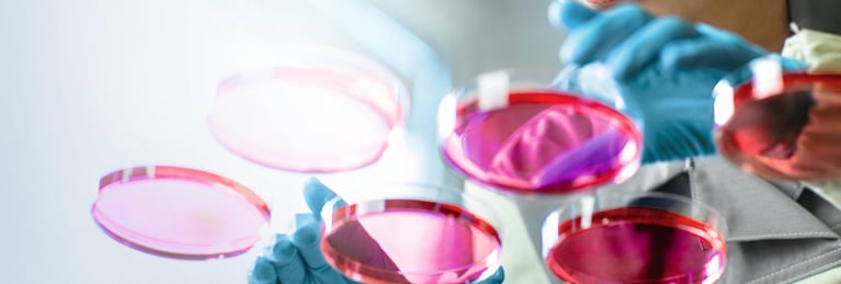 research-scientist-in-a-lab.jpg