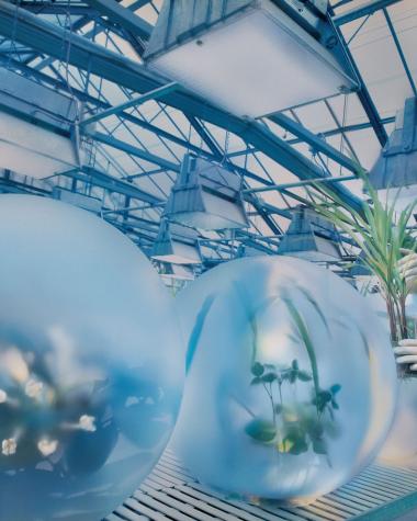 Researcher_in_greenhouse_web.jpg