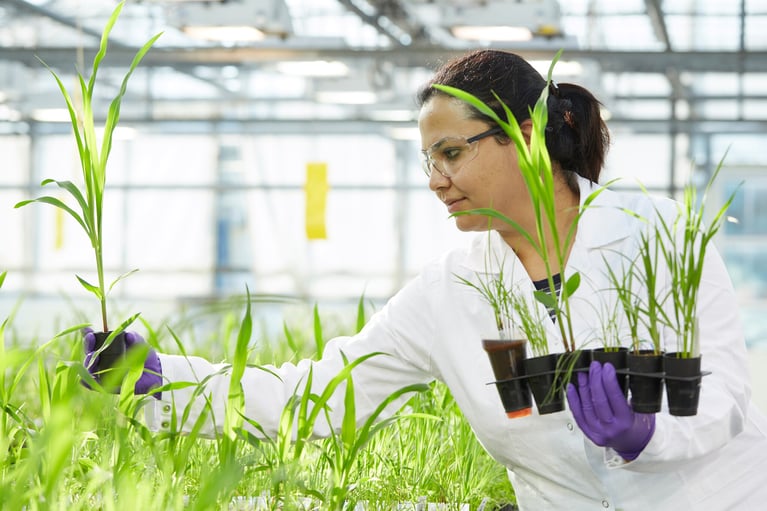 researcher-inspecting-plants-2.jpg