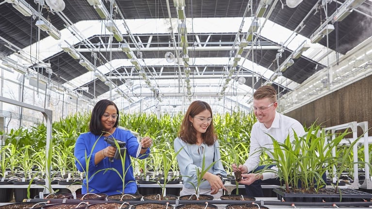 Researchers examining plants in a greenhouse Drupal