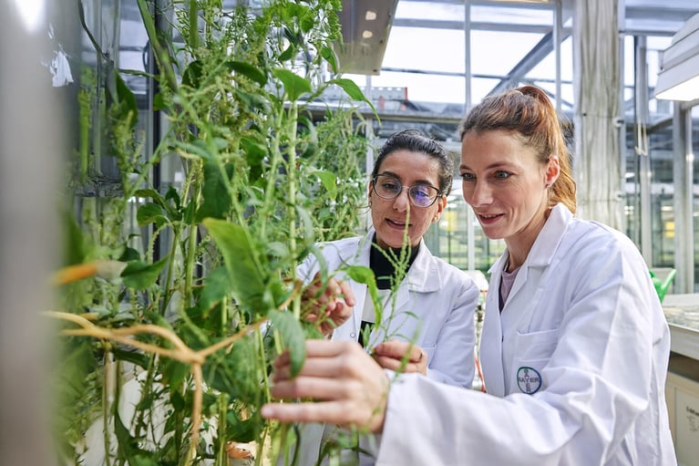 researchers-in-a-greenhouse-3.png