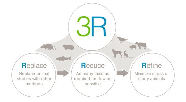 rrr-en-600x330.jpg