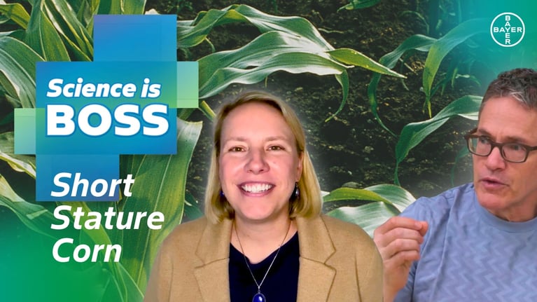 science-is-boss-ep-2-short-staature-corn.png