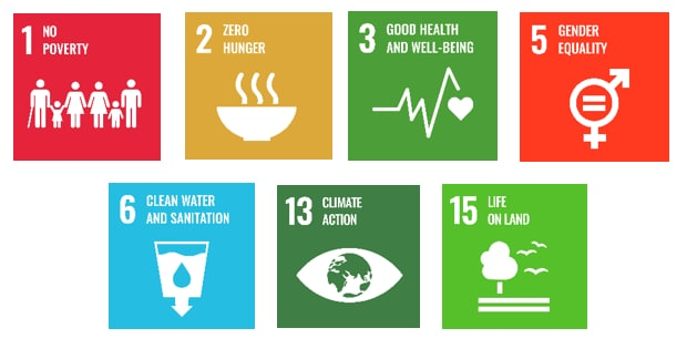 SDG Collection Bayer