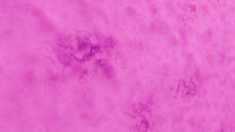 Illustration showing mucus produced by mucosal glands lining the respiratory tract, helping trap and remove pathogens.