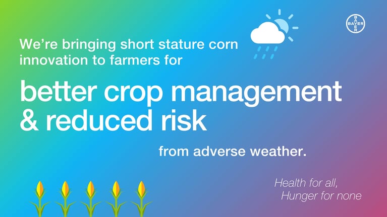 short-corn.png