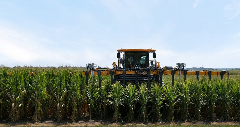 short-stature-corndefault.jpg