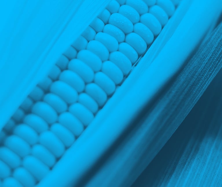 skewed-image-template-2-copy.png