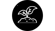 soil.png