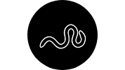 soil-organisms.png