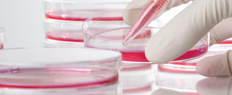 stemcell_0.jpg