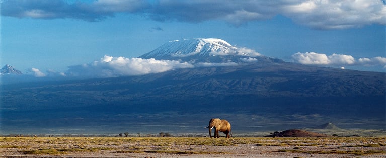 Tanzania1_1440x590.jpg
