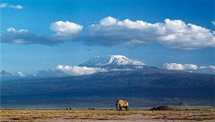 Tanzania1_426x240.jpg
