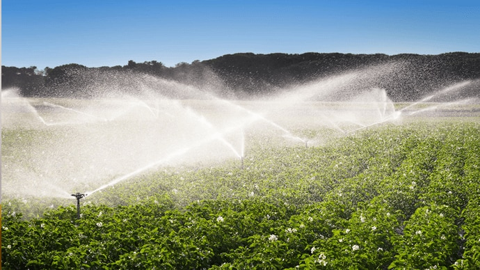teaser-cropscience.png