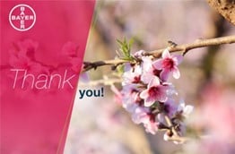 thank-you-note.jpg