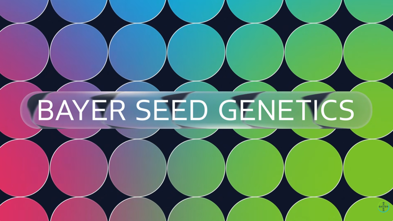 Seed Genetics: Hidden Blockbuster