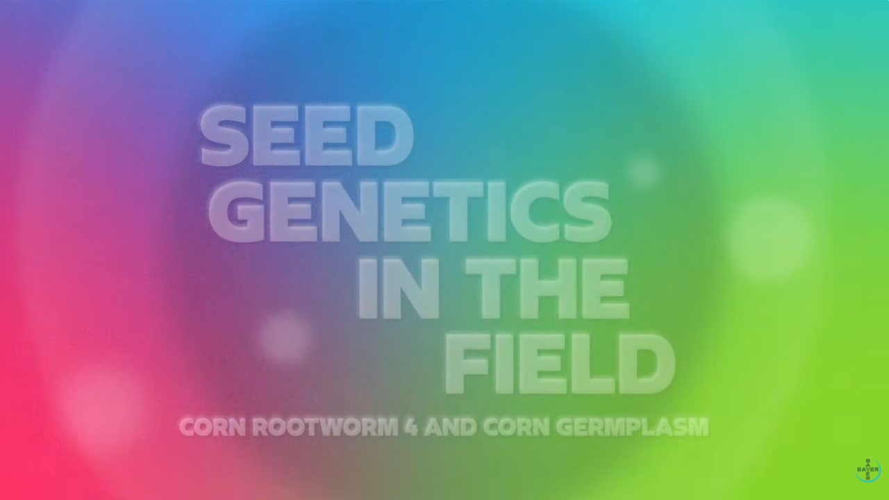  The Power of Corn Genetics