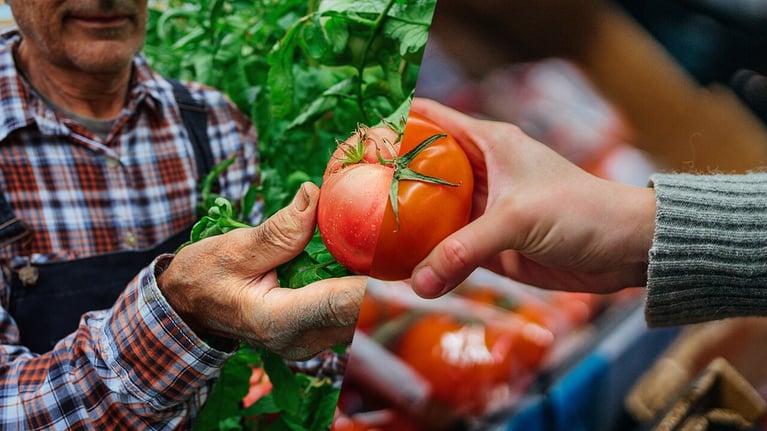 tomato.jpg