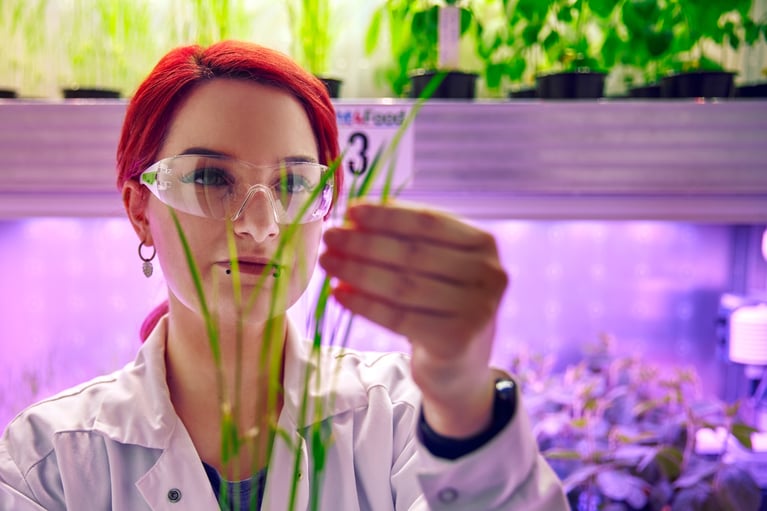 trainee-checking-plant.jpg