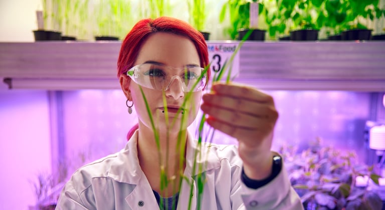 trainee checking plant