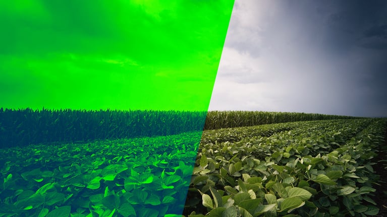 trans-benefits-gm-crops-anotated-banner1-1.png