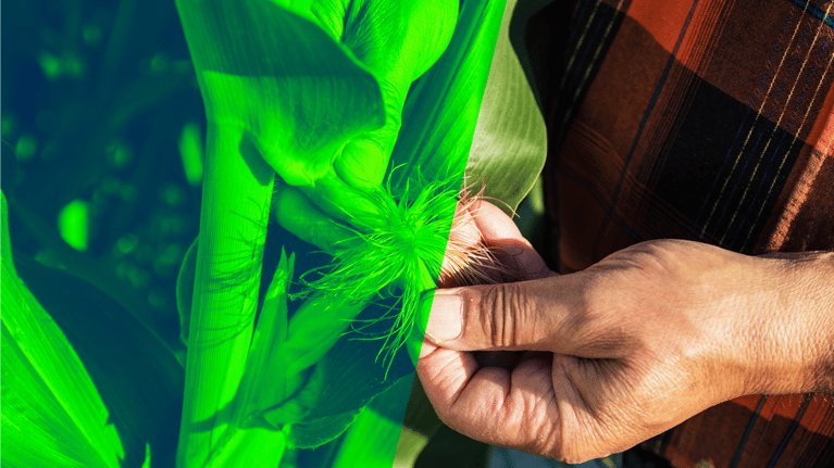 trans-benefits-gm-crops-anotated-banner2.3.png