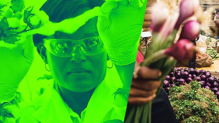 trans-cluster-gmo-900x506-2-1.png