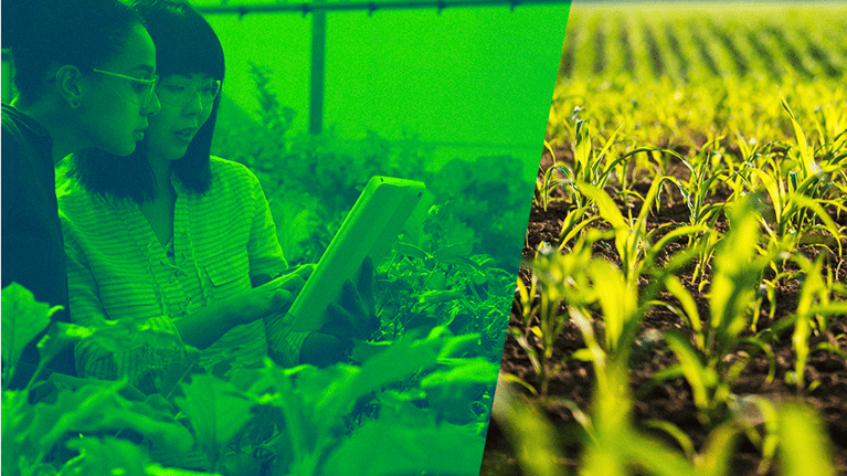 trans-cluster-plantbreeding-900x506-2-1.png