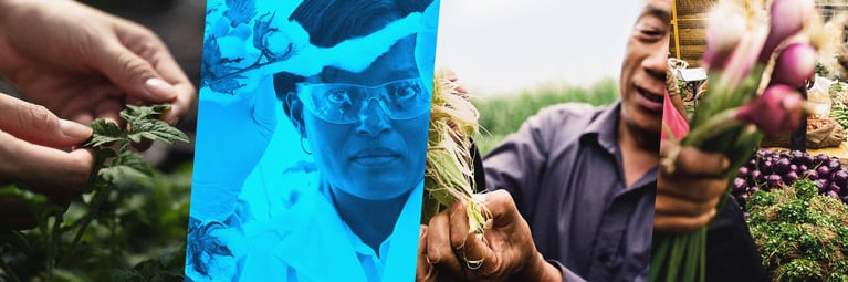 Trans_GMO_Jumbotron_5760x1920_1.png
