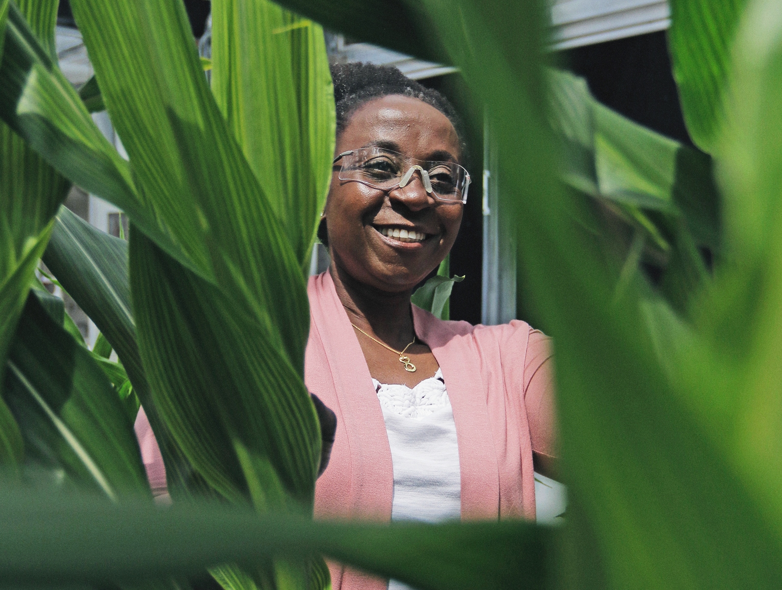 Trans_PlantBreeding_ImageCollage_Front_1590x1200.png