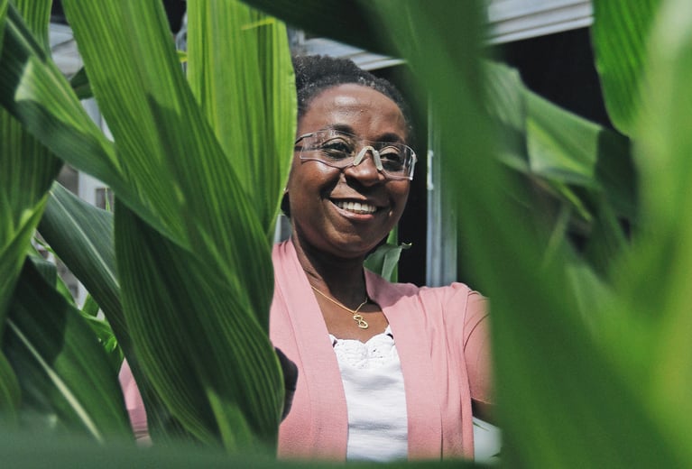 Trans_PlantBreeding_ImageCollage_Front_1590x1200.png
