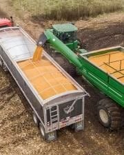 Truck_being_loaded_with_corn_16.jpg