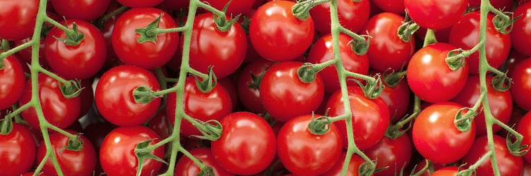 trusses-tomatoes.png