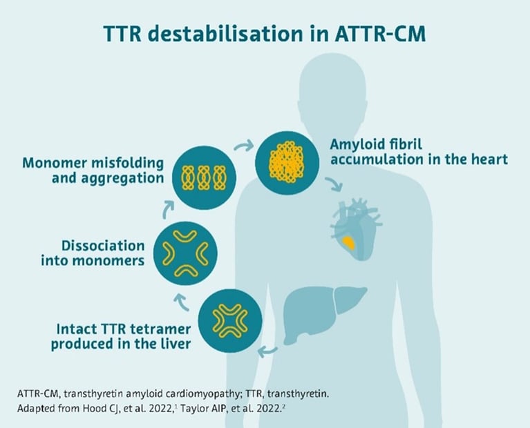 ttr-1.jpg