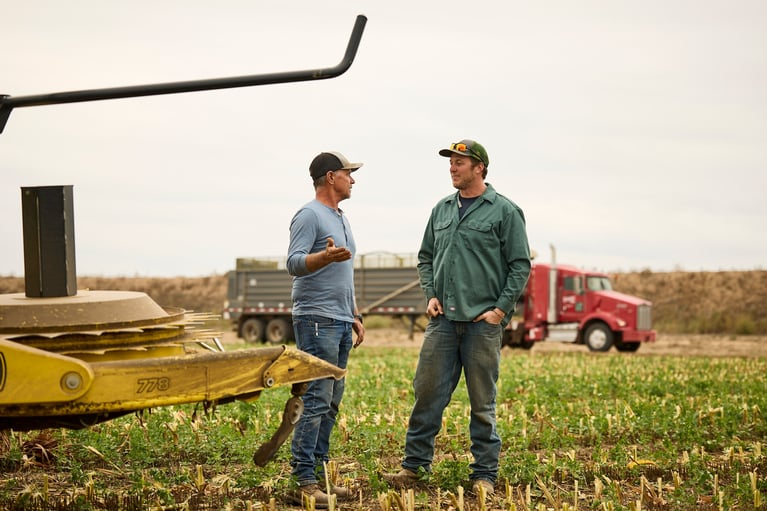 two farmers in the field